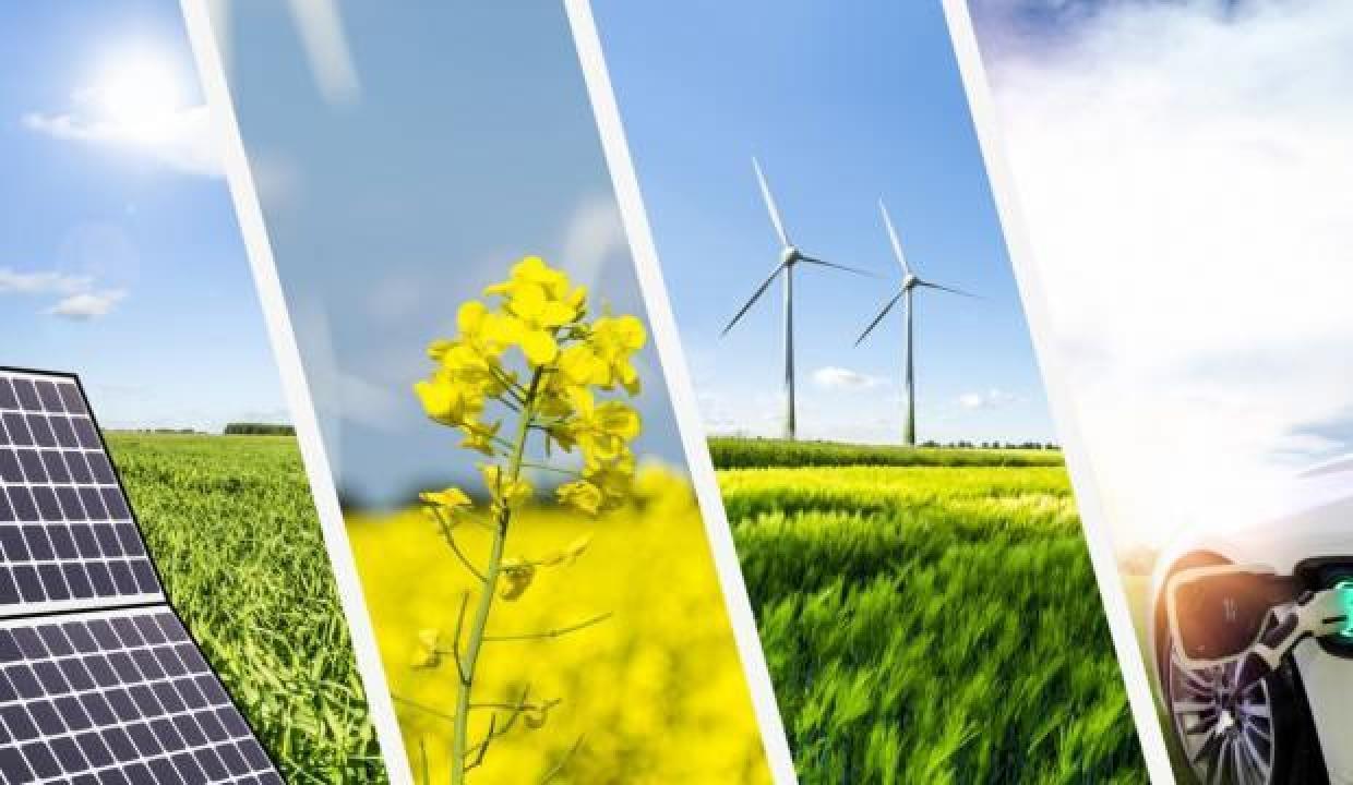 Bereket Sigorta’dan çevreye duyarlı poliçe