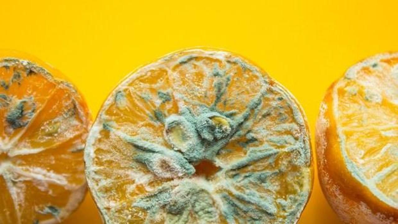 Besinlerin küflü kısmını keserek yemek zararsız mı? Küflü bir şey yedikten sonra ne yapılmalı?