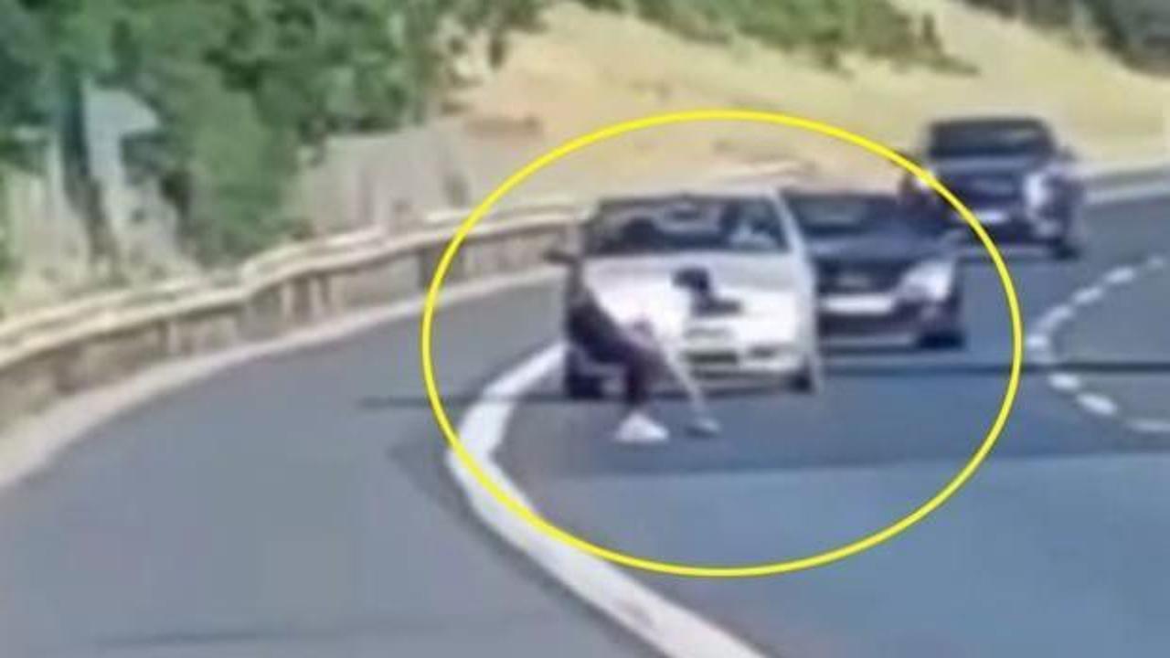 Beykoz'da araçları durduran kadın, yolda ezilme tehlikesi yaşayan kaplumbağayı kurtardı