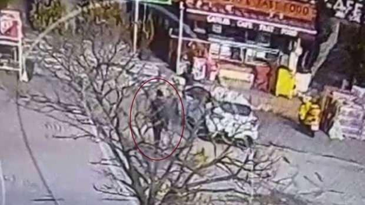Beylikdüzü'nde başıboş pitbull dehşeti kamerada! Vatandaşa böyle saldırmış