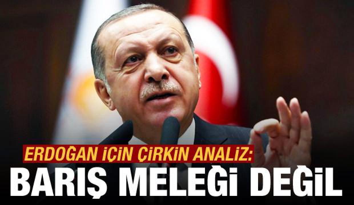 Bild'den çirkin analiz: Erdoğan bir barış meleği değil