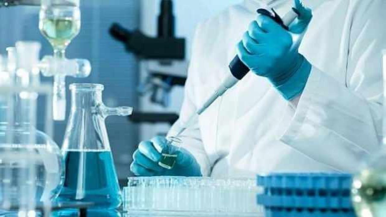 Bilim adamları açıkladı: Fareler artık daha iyi duyabilecek!