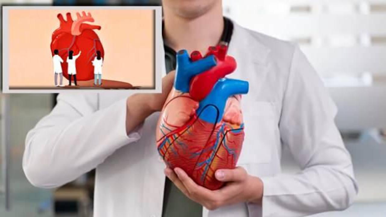 Bilim insanları kalpte mini beyin keşfetti: Kalp artık beyinden bağımsız kontrol edilebilecek