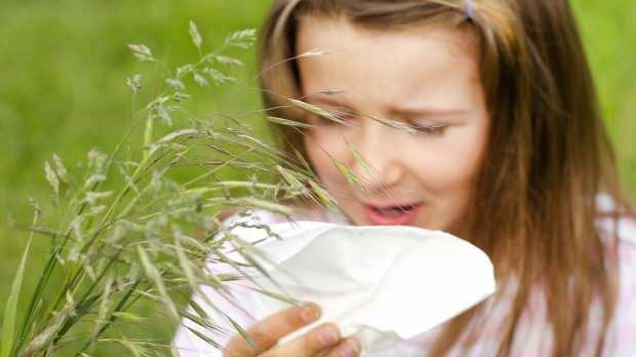 Bilim Kurulu Üyesi Özlü: Solunum alerjileri, enfeksiyonlarla karıştırılıyor
