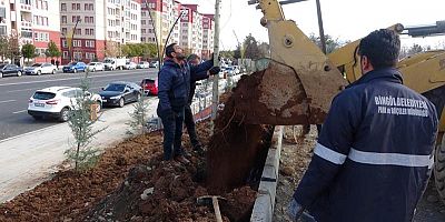 Bingöl Belediyesinden Hummalı Çalışma