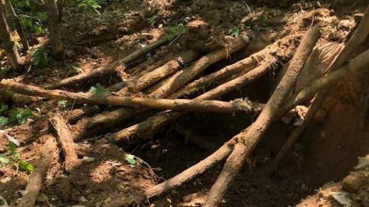 Bingöl’de 4 PKK sığınağı ve el yapımı patlayıcı imha edildi