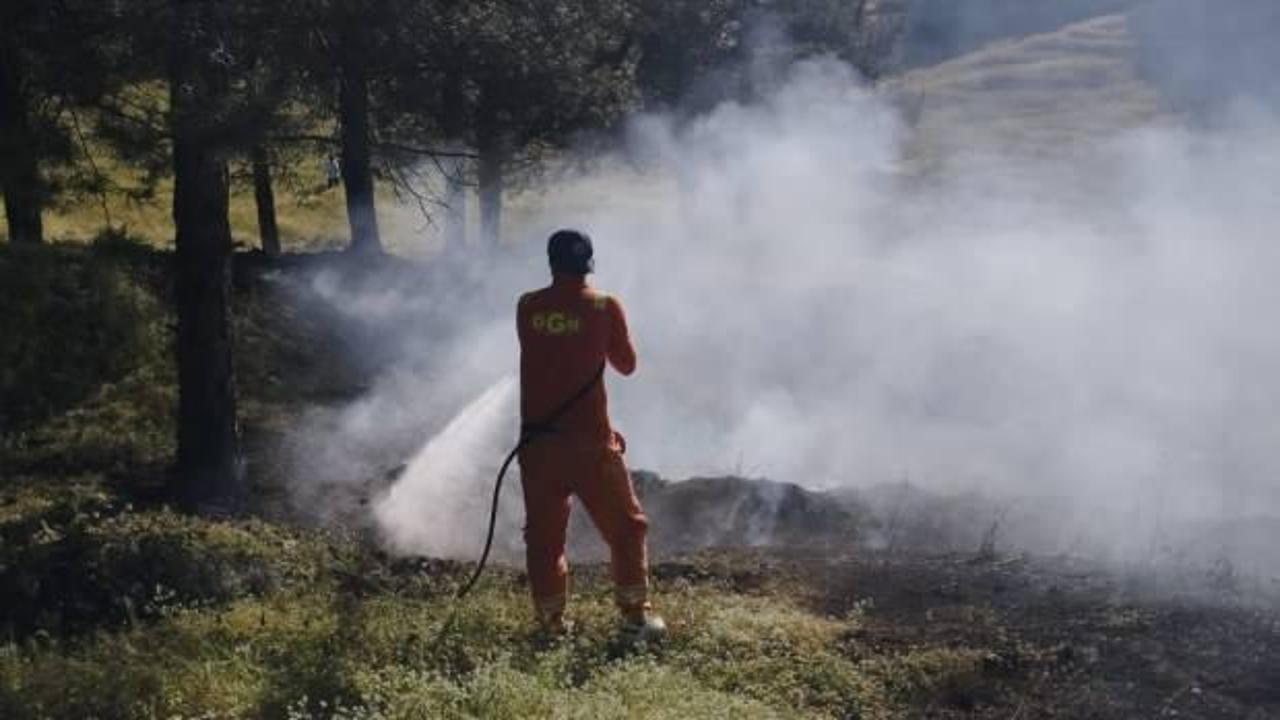 Bingöl’de orman yangını!