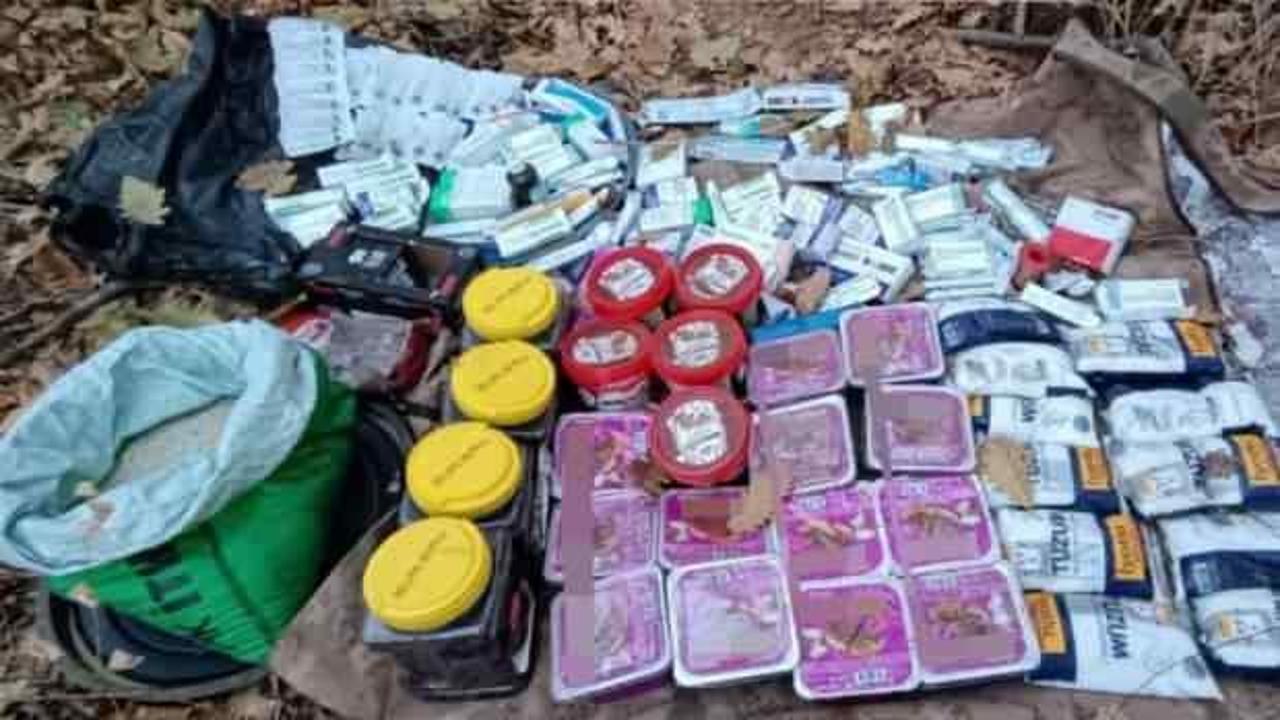 Bingöl'de terör örgütü PKK'ya operasyon