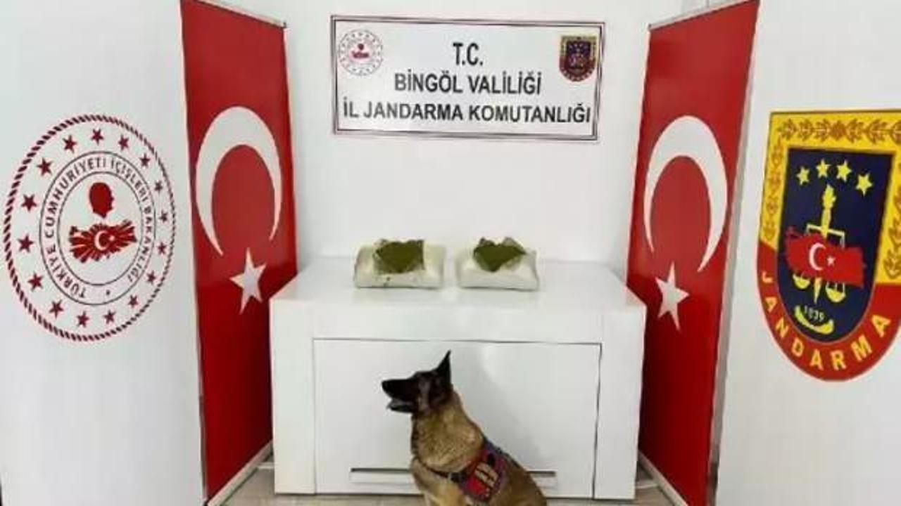 Bingöl'de uyuşturucu operasyonu
