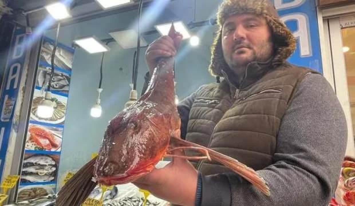 Bir tanesi 800 TL! Alıcı bekliyor