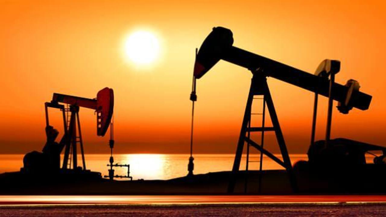 Bir ülkeden tarihi karar! Sürpriz petrol adımı! 