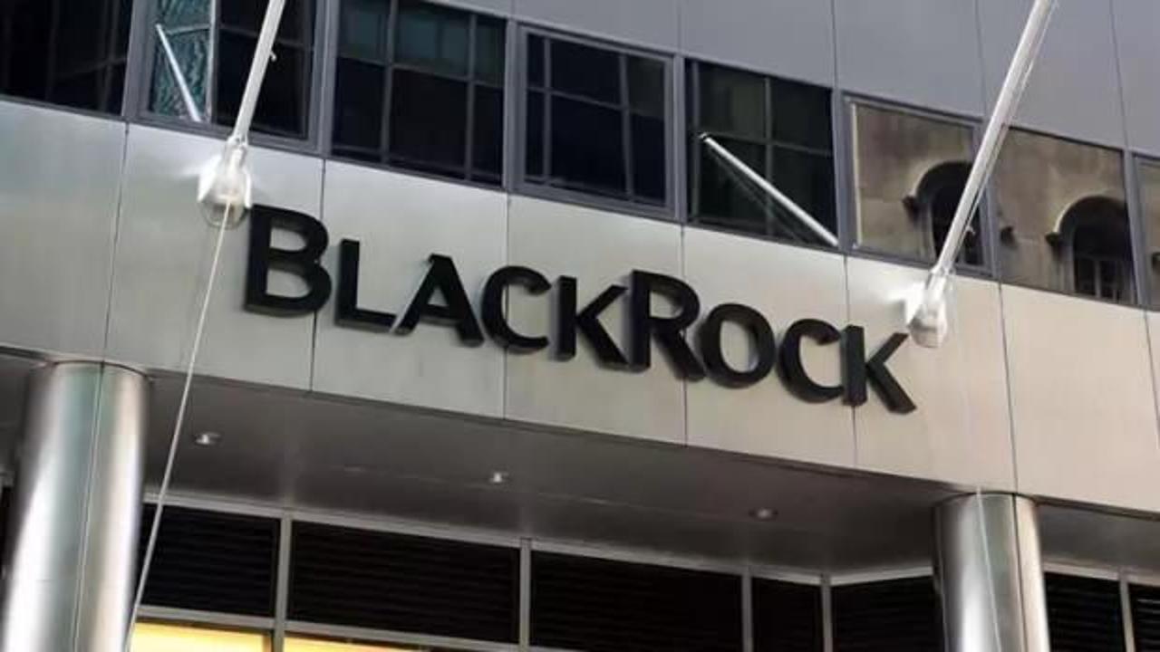 BlackRock'tan dev satın alma