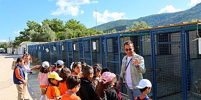 Bodrum Belediyesi Sokaklardaki Dostlarının Yanında