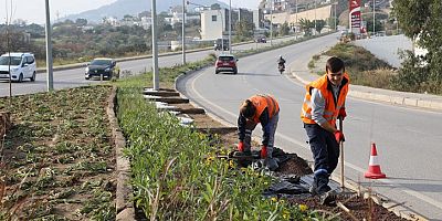 BODRUM’DA PEYZAJ ÇALIŞMALARI DEVAM EDİYOR