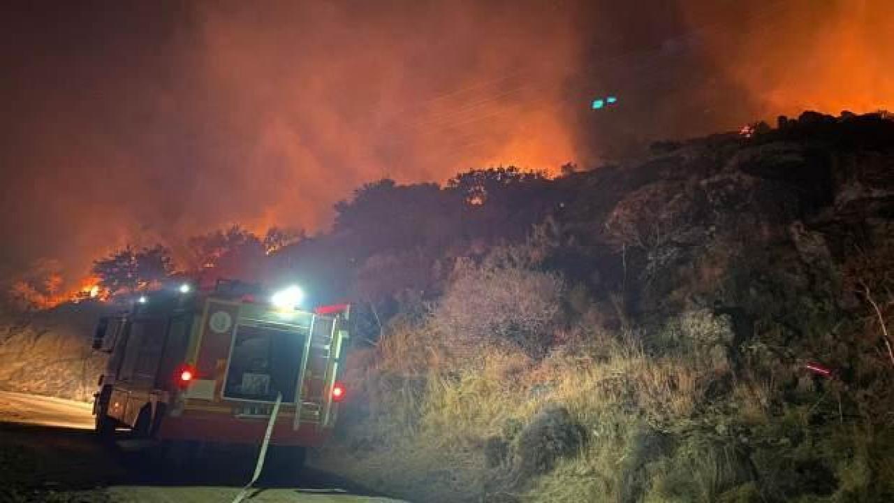 Bodrum'da makilik yangını; 5 dönüm zarar gördü