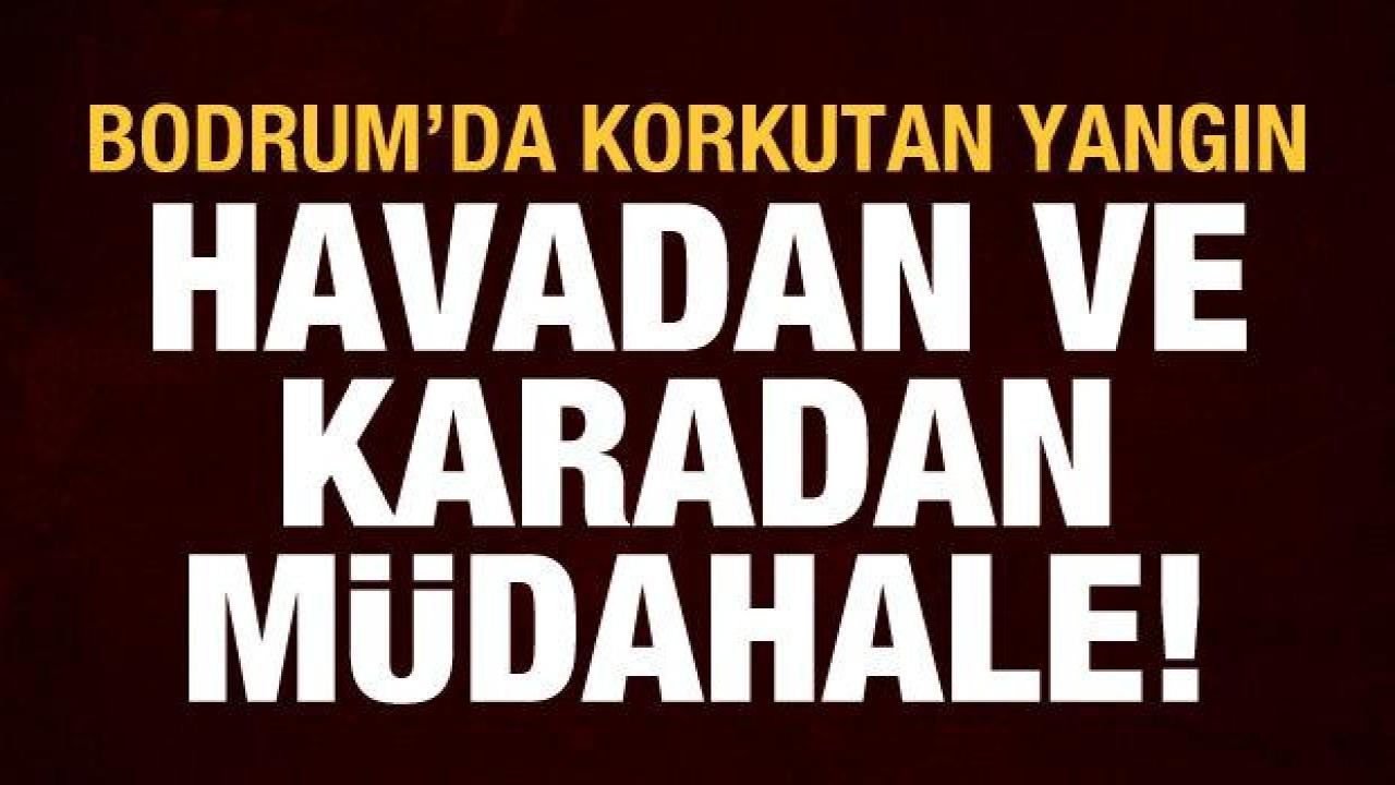 Bodrum'da yangın: Havadan ve karadan müdahale başladı