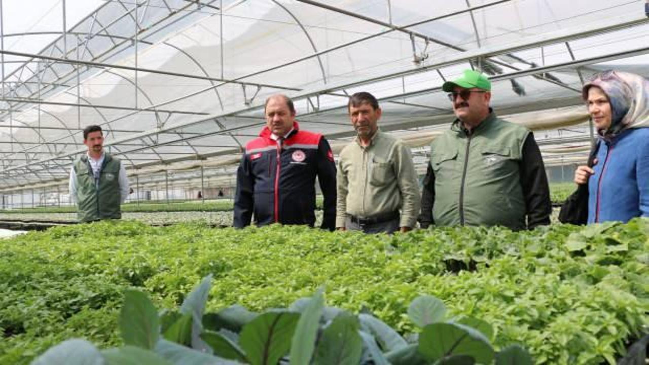 Bölgenin fidesi Erzincan’dan