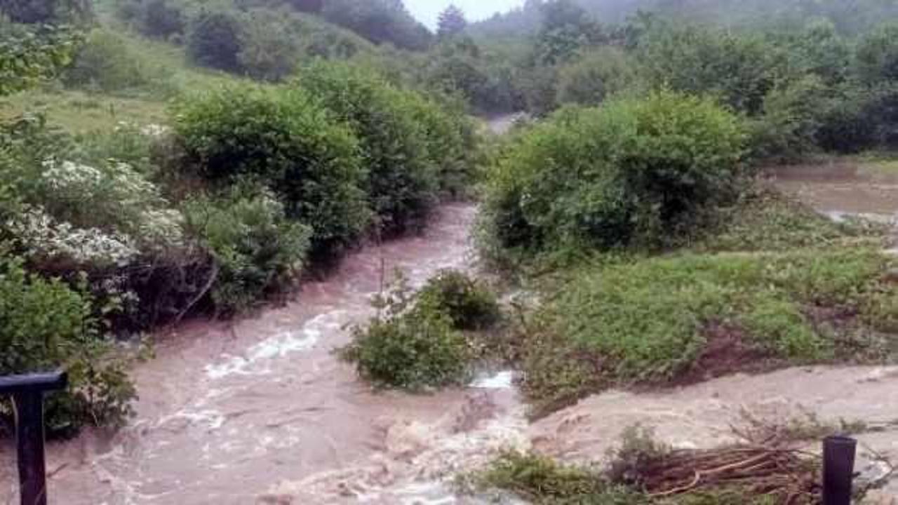 Bolu'da sağanak; Abant yolunda dere taştı