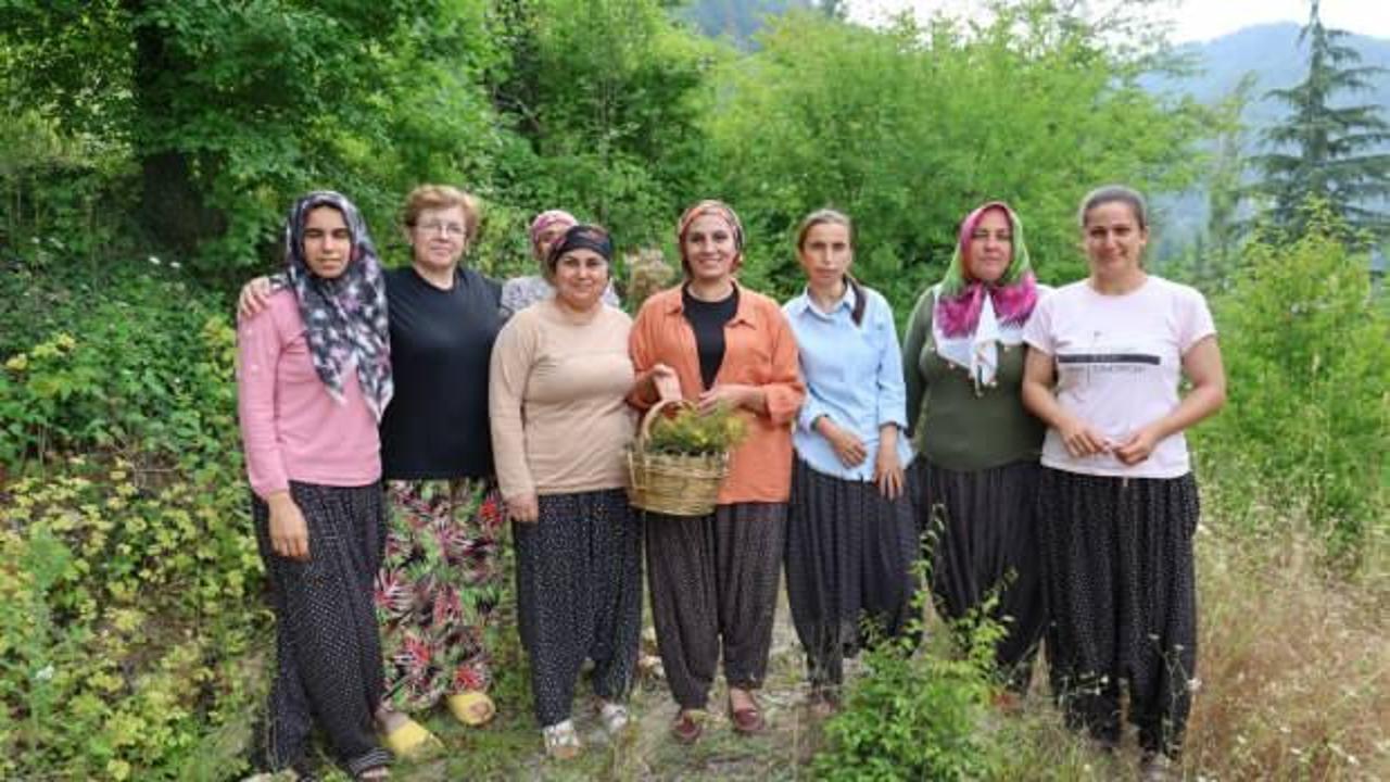 Bu 'doktor' bambaşka! Köylüler şifalı olarak anıyor