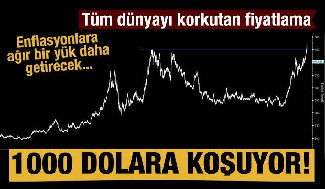 Buğday fiyatı 1000 dolara koşuyor! Dünyayı korkutan fiyatlama
