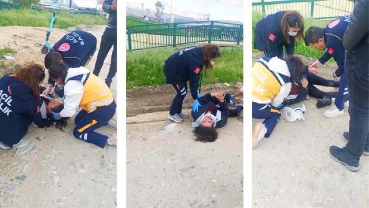 Bursa'da başıboş köpekler genç kıza saldırdı