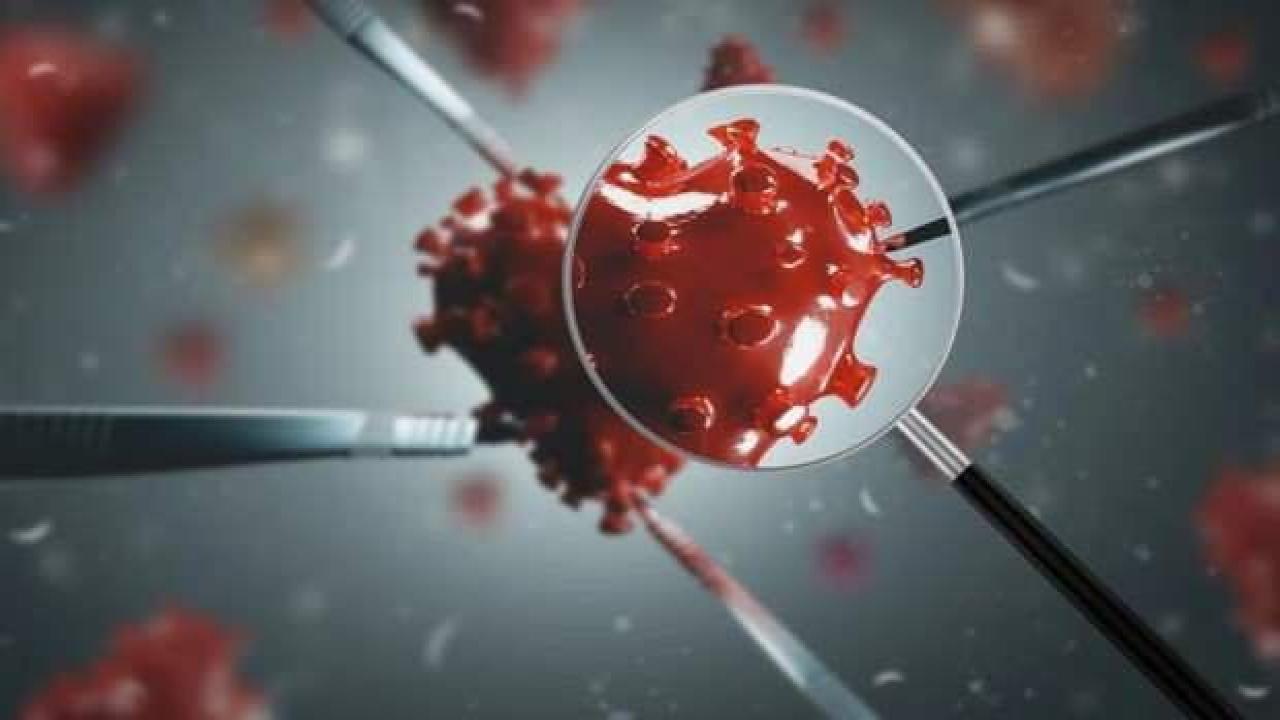 Büyük tepki çekti! Koronavirüsün yüzde 80 ölümcül olanı üretildi