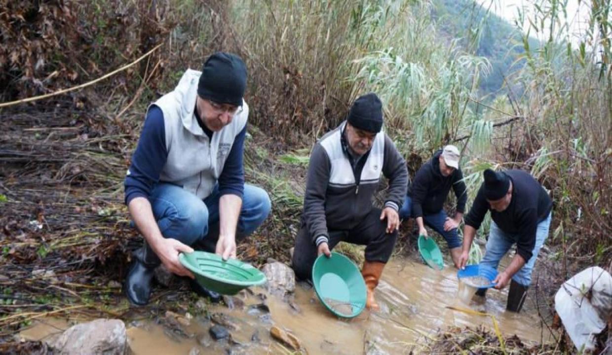 Buz gibi suda altın avı! Haftada 7-8 gram buluyorlar