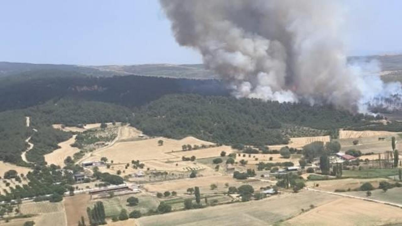 Çanakkale'de korkutan orman yangını