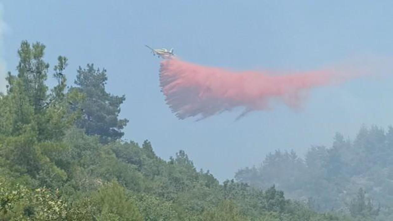 Çanakkale'deki orman yangını kontrol altına alındı