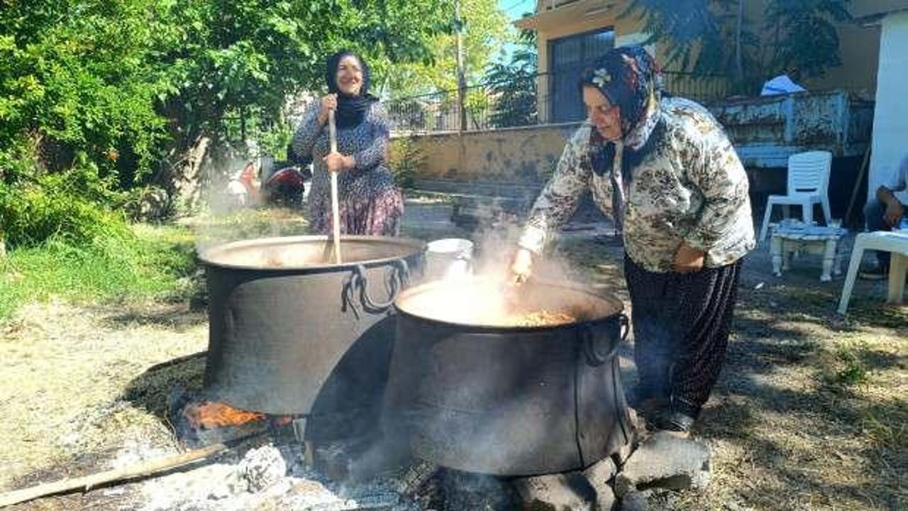 Çemişgezek dutunun şifa yolculuğu: Kazanlar kuruldu
