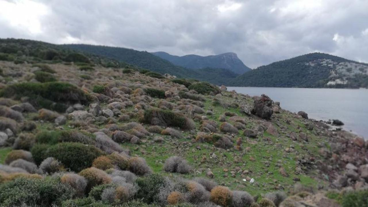 Cengiz İnşaat’tan Cennet Koyu açıklaması