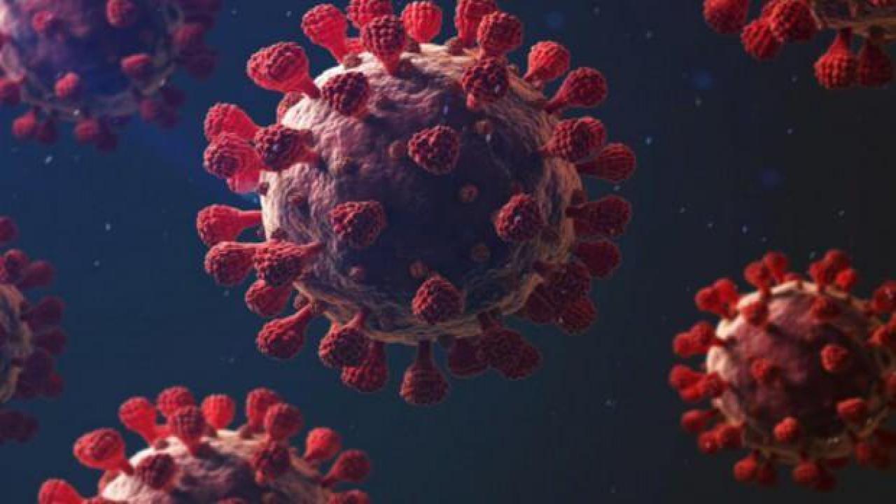 Cezayir'de son iki yılda ilk kez Kovid-19 vakası görülmedi