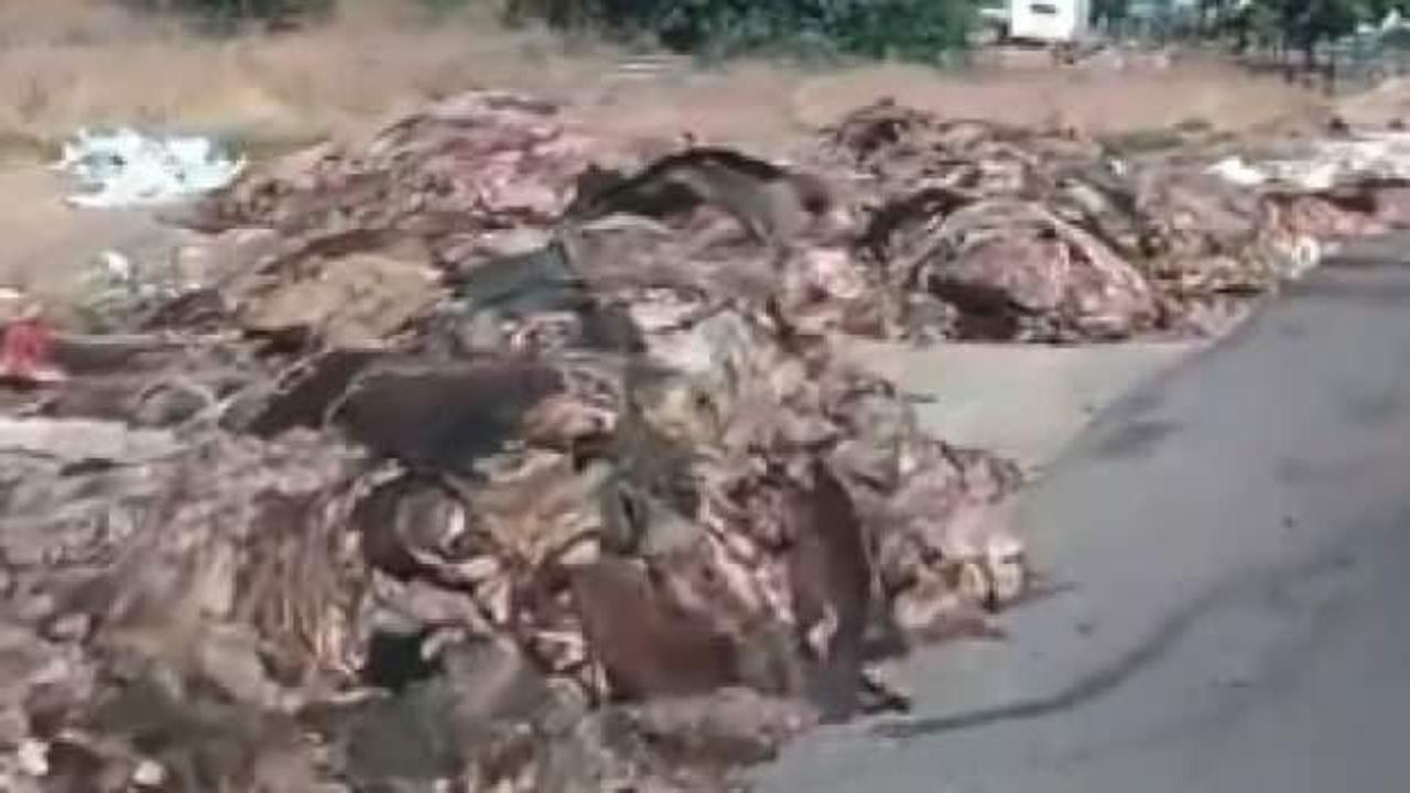 CHP'li isim CHP'li belediyeyi göreve çağırdı