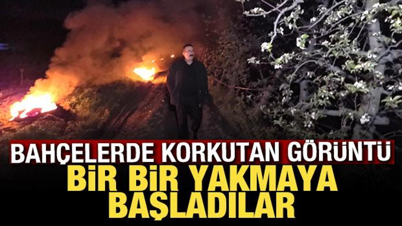 Çiftçi harekete geçti! Zirai don tarımda afet yarattı