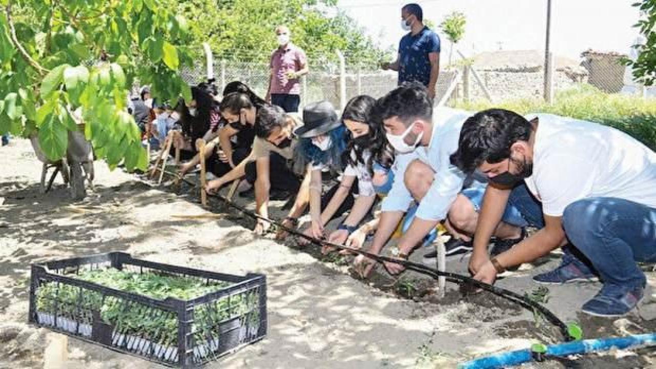 Çiftçiler akademili oluyor
