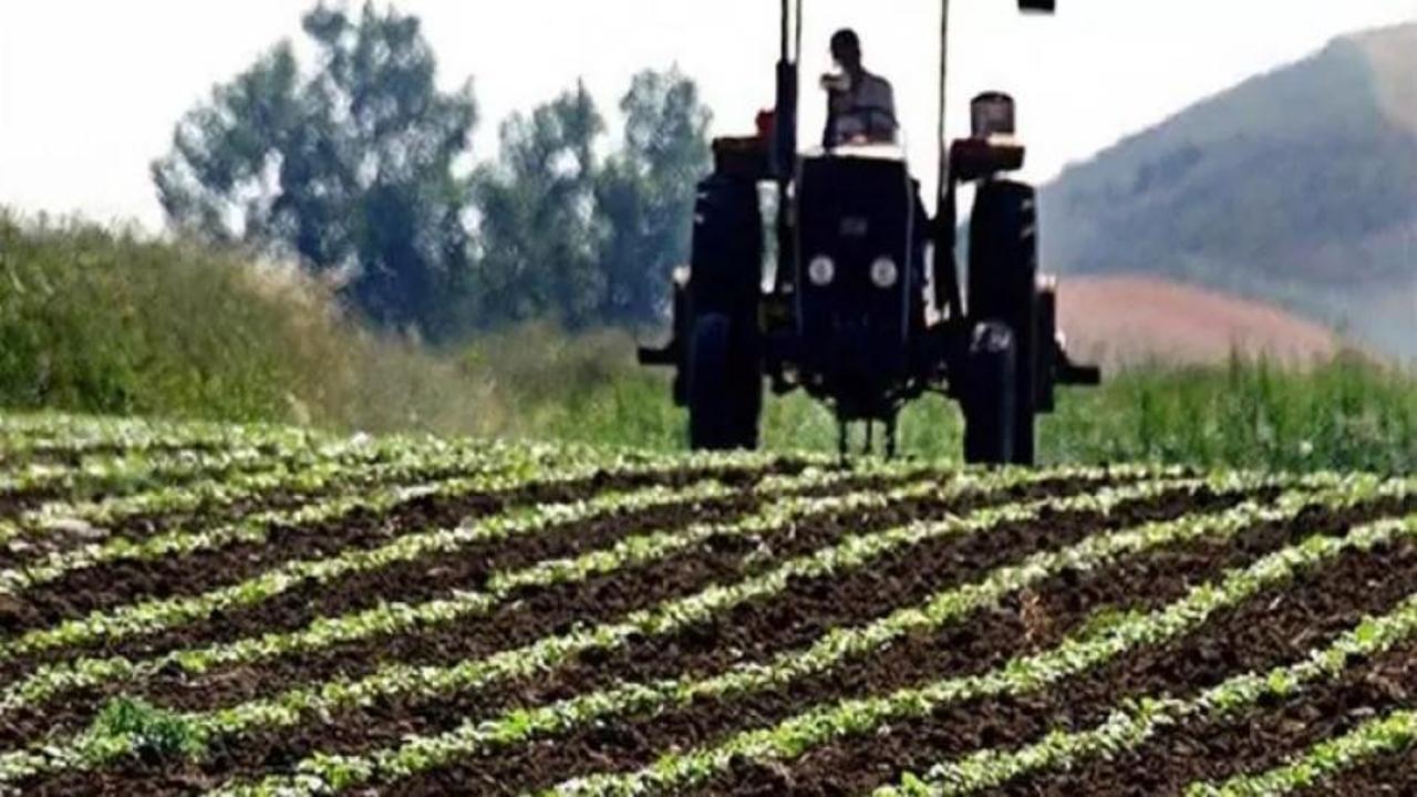 Çiftçilere 2,6 milyar liralık destek ödemesi yarın yapılacak