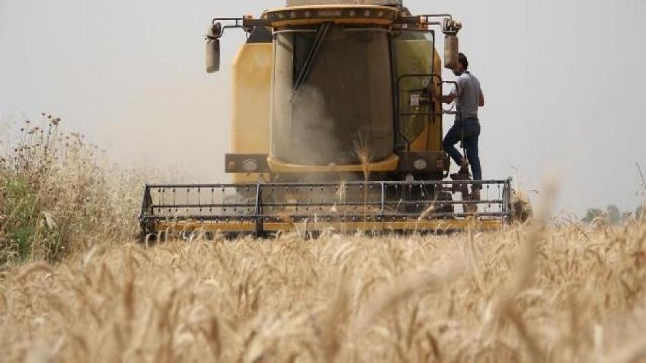 Çiftçilere tarımsal destek ödemeleri bugün yapılacak