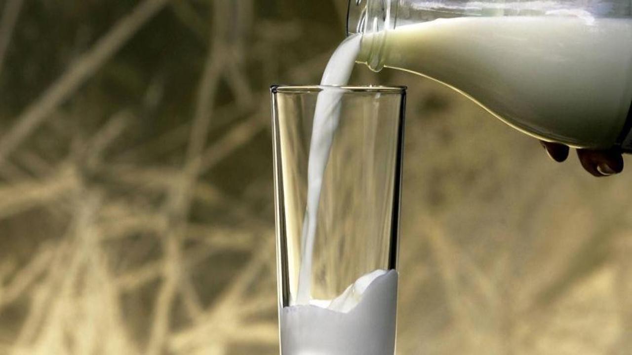 Çiğ sütte özel hijyen kuralları için uyum süresi uzatıldı