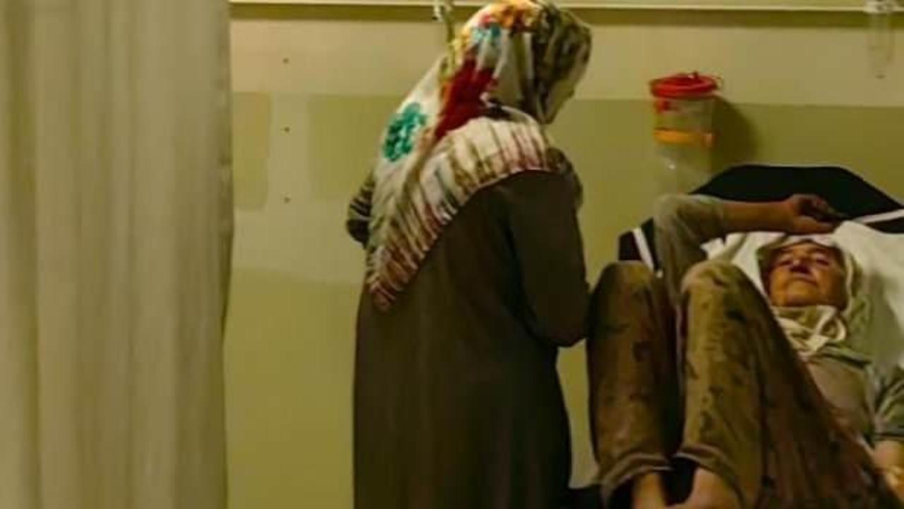 Çilek toplarken elini yılan ısırdı