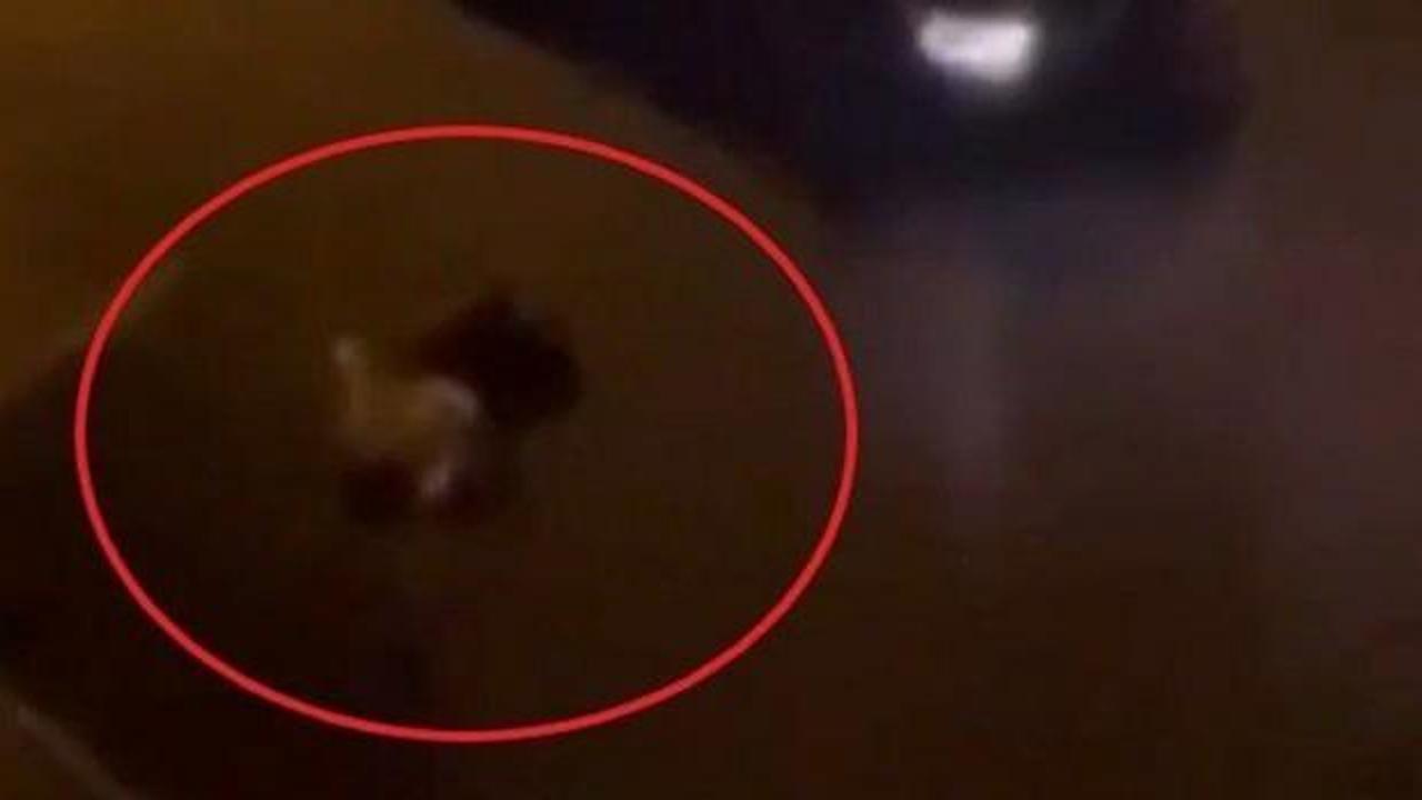 Cinayetten sonra skandal paylaşım: 