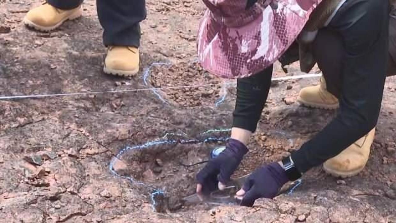 Çin'de keşfedildi! Tam 120 milyon yıl öncesine ait...