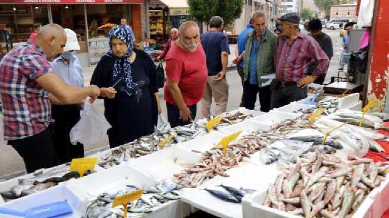 Çinekop tezgahlarda, gözler hala palamutta