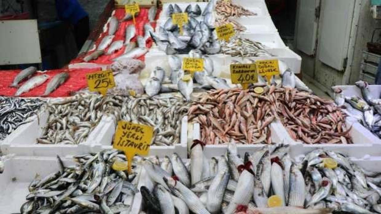 Çinekopun fiyatı 50 TL'ye düştü