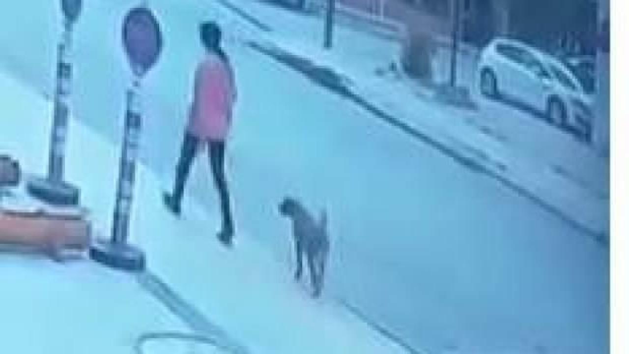 Çorum'da 3 gündür kayıp olan genç kızdan kötü haber geldi!