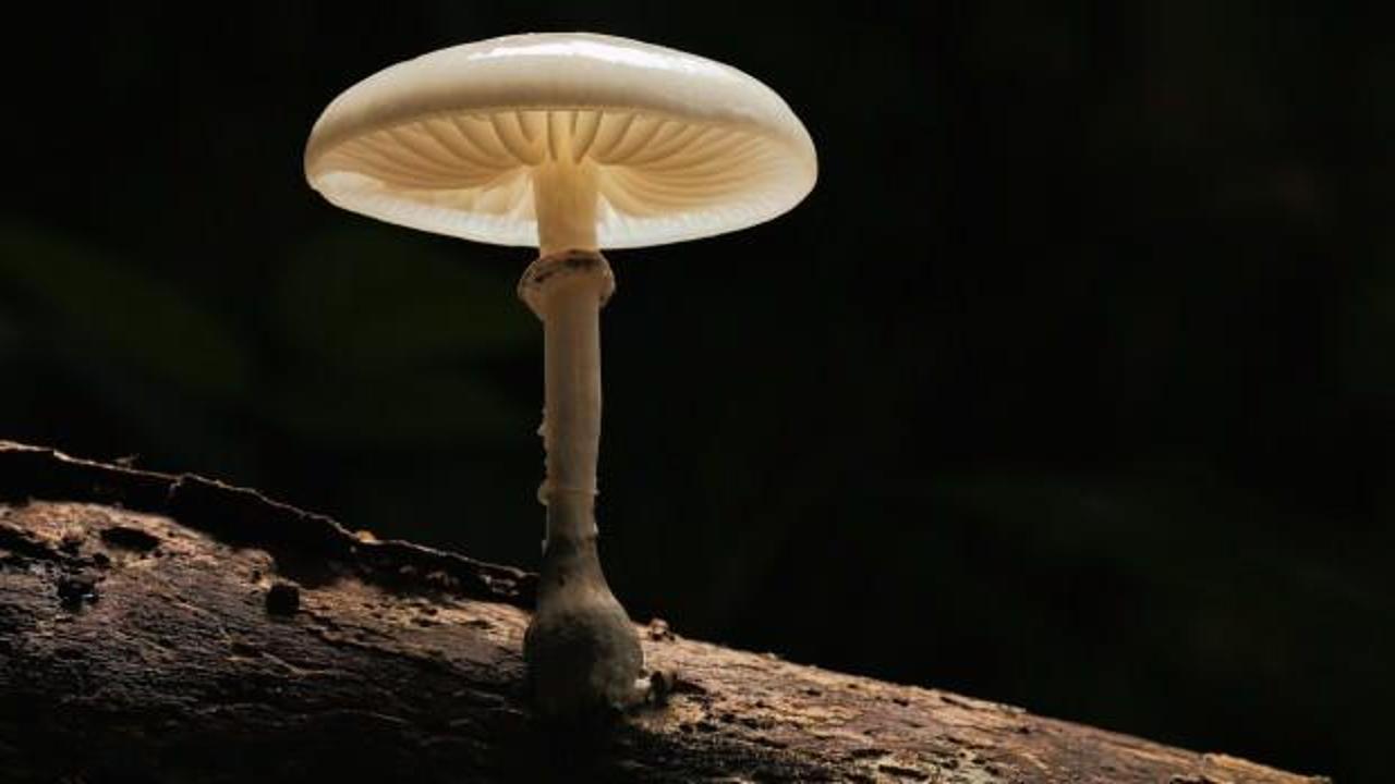 Çorum'da can aldı! 20 kişi daha tedavi görüyor...