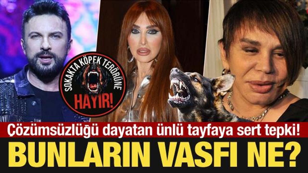 Çözümsüzlüğü dayatan ünlü tayfaya sert tepki: Bunların vasfı ne?