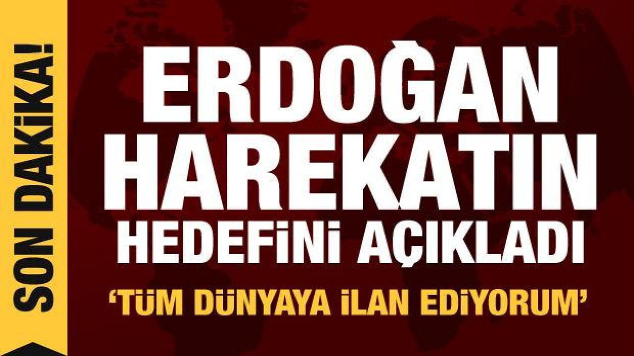 Cumhurbaşkanı Erdoğan, harekatın hedefini açıkladı: Tüm dünyaya ilan ediyorum!