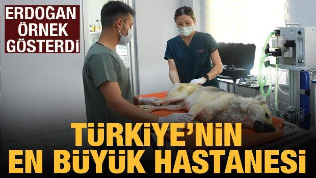 Cumhurbaşkanı Erdoğan Konya’yı örnek gösterdi