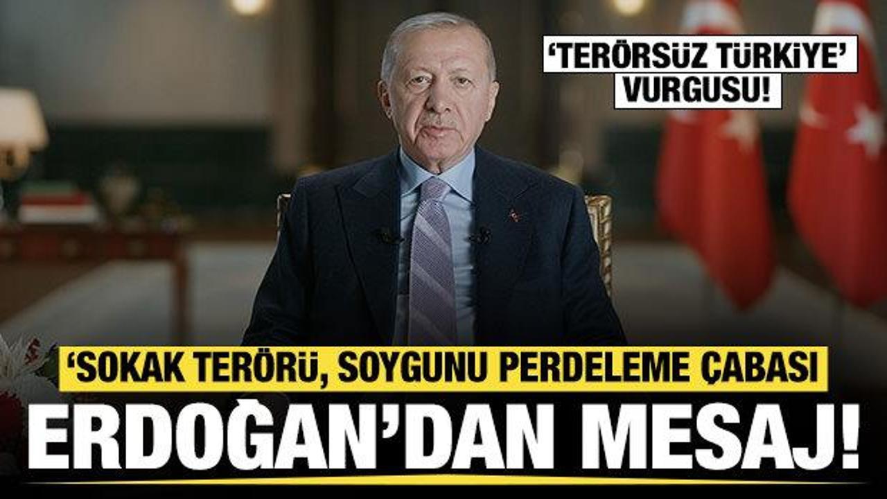 Cumhurbaşkanı Erdoğan: Sokak terörü, soygunu perdeleme çabası