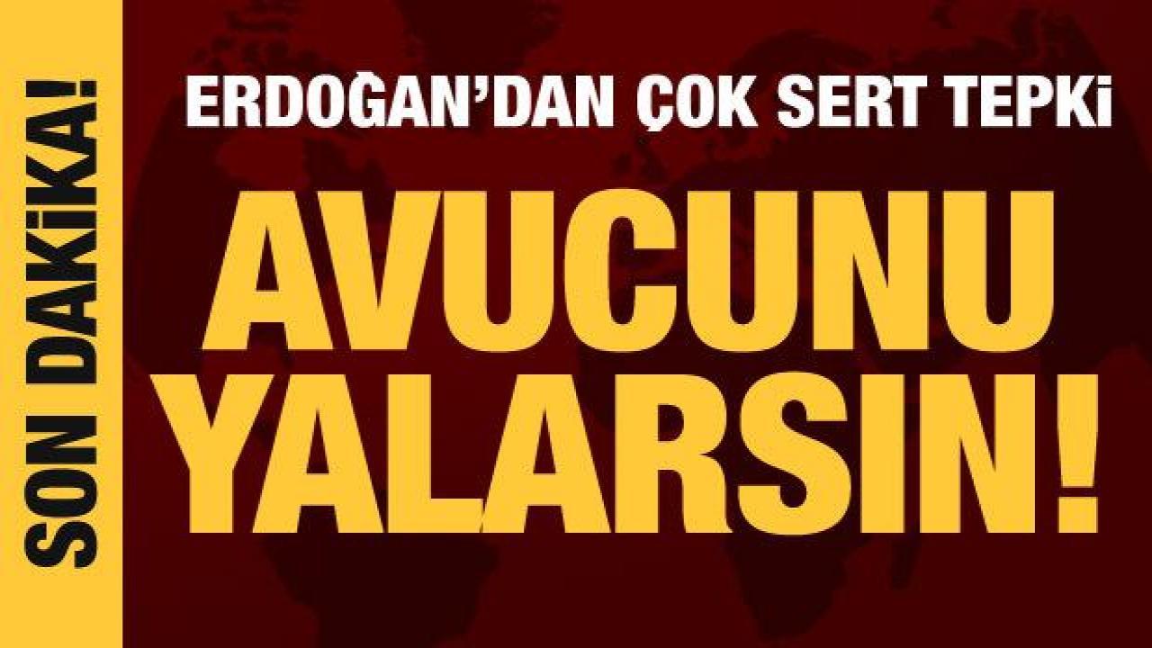 Cumhurbaşkanı Erdoğan'dan Kılıçdaroğlu'na tepki: Avucunu yalarsın!